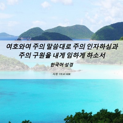 Picture 06 - 시편 119:41 KOR - 여호와여 주의 말씀대로 주의 - Bible Verse Picture
