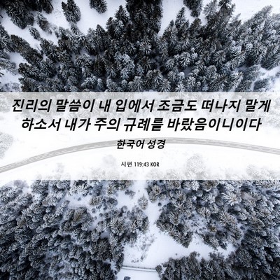 Picture 06 - 시편 119:43 KOR - 진리의 말씀이 내 입에서 조금도 - Bible Verse Picture