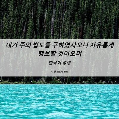 Picture 06 - 시편 119:45 KOR - 내가 주의 법도를 구하였사오니 - Bible Verse Picture