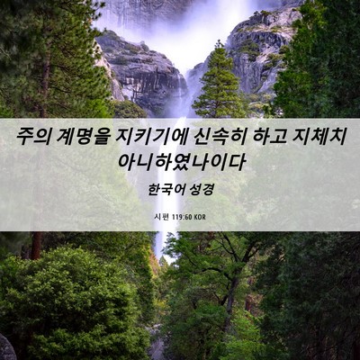 Picture 06 - 시편 119:60 KOR - 주의 계명을 지키기에 신속히 하고 - Bible Verse Picture