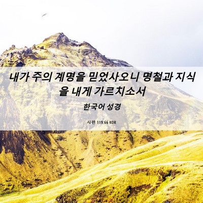Picture 06 - 시편 119:66 KOR - 내가 주의 계명을 믿었사오니 명철과 - Bible Verse Picture
