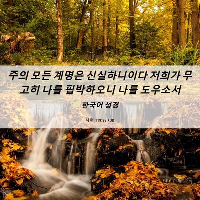 Picture 06 - 시편 119:86 KOR - 주의 모든 계명은 신실하니이다 - Bible Verse Picture