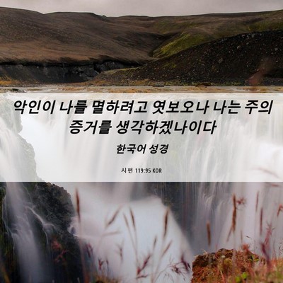 Picture 06 - 시편 119:95 KOR - 악인이 나를 멸하려고 엿보오나 나는 - Bible Verse Picture