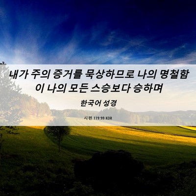 Picture 06 - 시편 119:99 KOR - 내가 주의 증거를 묵상하므로 나의 - Bible Verse Picture