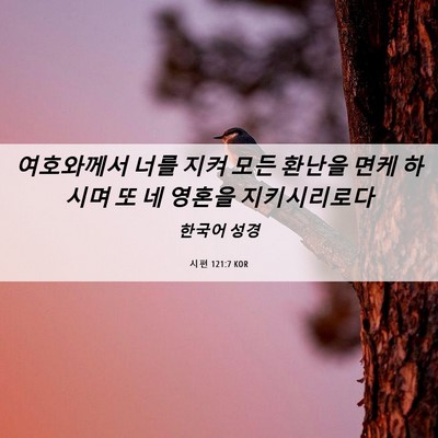 Picture 06 - 시편 121:7 KOR - 여호와께서 너를 지켜 모든 환난을 - Bible Verse Picture