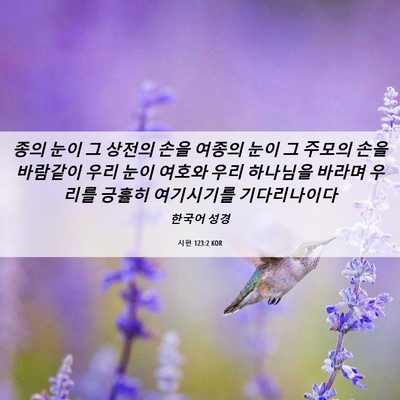 Picture 06 - 시편 123:2 KOR - 종의 눈이 그 상전의 손을 여종의 - Bible Verse Picture