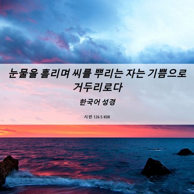 Picture 06 - 시편 126:5 KOR - 눈물을 흘리며 씨를 뿌리는 자는 - Bible Verse Picture