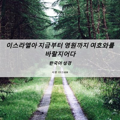 Picture 06 - 시편 131:3 KOR - 이스라엘아 지금부터 영원까지 - Bible Verse Picture