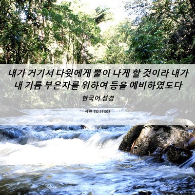 Picture 06 - 시편 132:17 KOR - 내가 거기서 다윗에게 뿔이 나게 할 - Bible Verse Picture