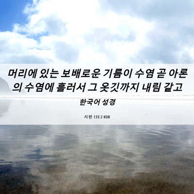 Picture 06 - 시편 133:2 KOR - 머리에 있는 보배로운 기름이 수염 - Bible Verse Picture