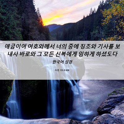 Picture 06 - 시편 135:9 KOR - 애굽이여 여호와께서 너의 중에 - Bible Verse Picture