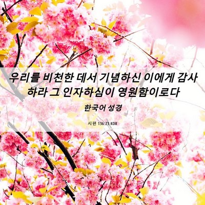 Picture 06 - 시편 136:23 KOR - 우리를 비천한 데서 기념하신 이에게 - Bible Verse Picture