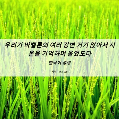 Picture 06 - 시편 137:1 KOR - 우리가 바벨론의 여러 강변 거기 - Bible Verse Picture