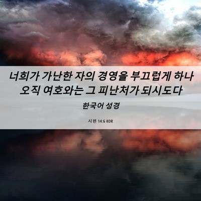 Picture 06 - 시편 14:6 KOR - 너희가 가난한 자의 경영을 부끄럽게 - Bible Verse Picture