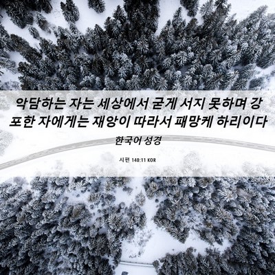 Picture 06 - 시편 140:11 KOR - 악담하는 자는 세상에서 굳게 서지 - Bible Verse Picture