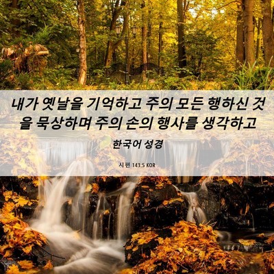 Picture 06 - 시편 143:5 KOR - 내가 옛날을 기억하고 주의 모든 - Bible Verse Picture