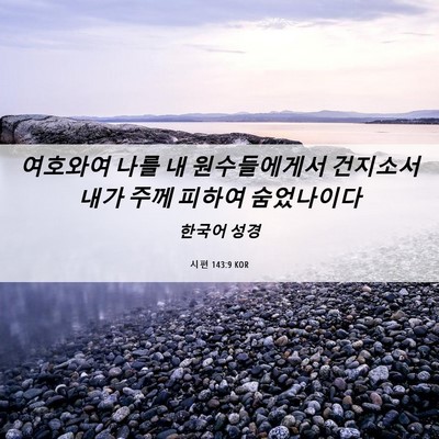 Picture 06 - 시편 143:9 KOR - 여호와여 나를 내 원수들에게서 - Bible Verse Picture