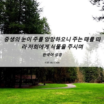 Picture 06 - 시편 145:15 KOR - 중생의 눈이 주를 앙망하오니 주는 - Bible Verse Picture