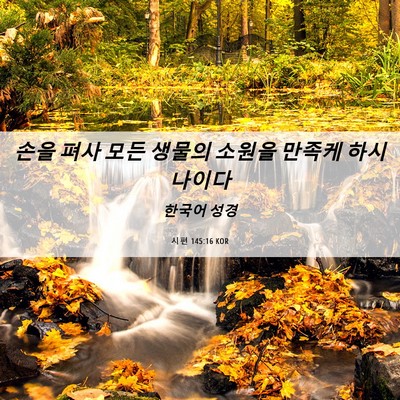 Picture 06 - 시편 145:16 KOR - 손을 펴사 모든 생물의 소원을 - Bible Verse Picture