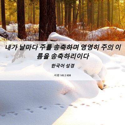 Picture 06 - 시편 145:2 KOR - 내가 날마다 주를 송축하며 영영히 - Bible Verse Picture