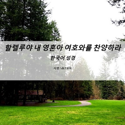 Picture 06 - 시편 146:1 KOR - 할렐루야 내 영혼아 여호와를 - Bible Verse Picture