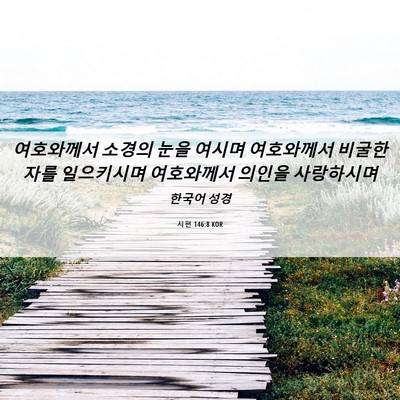 Picture 06 - 시편 146:8 KOR - 여호와께서 소경의 눈을 여시며 - Bible Verse Picture