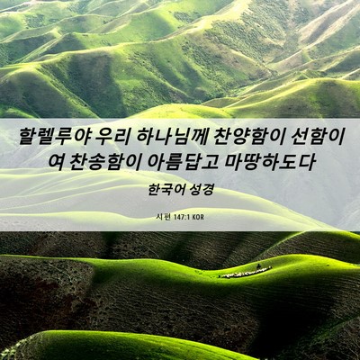 Picture 06 - 시편 147:1 KOR - 할렐루야 우리 하나님께 찬양함이 - Bible Verse Picture