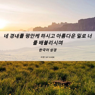 Picture 06 - 시편 147:14 KOR - 네 경내를 평안케 하시고 아름다운 - Bible Verse Picture
