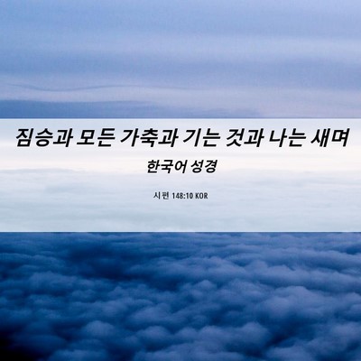 Picture 06 - 시편 148:10 KOR - 짐승과 모든 가축과 기는 것과 나는 - Bible Verse Picture