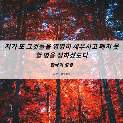 Picture 06 - 시편 148:6 KOR - 저가 또 그것들을 영영히 세우시고 - Bible Verse Picture