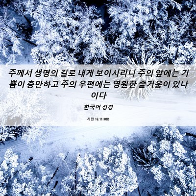 Picture 06 - 시편 16:11 KOR - 주께서 생명의 길로 내게 보이시리니 - Bible Verse Picture