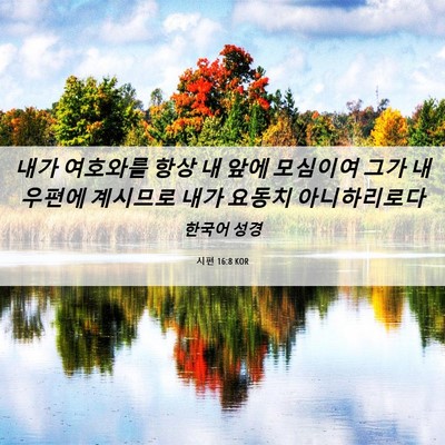 Picture 06 - 시편 16:8 KOR - 내가 여호와를 항상 내 앞에 - Bible Verse Picture