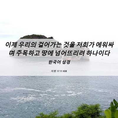Picture 06 - 시편 17:11 KOR - 이제 우리의 걸어가는 것을 저희가 - Bible Verse Picture