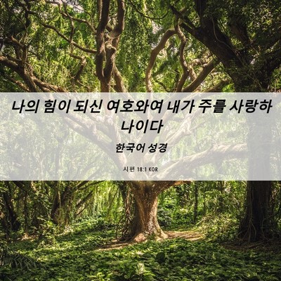 Picture 06 - 시편 18:1 KOR - 나의 힘이 되신 여호와여 내가 주를 - Bible Verse Picture