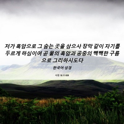Picture 06 - 시편 18:11 KOR - 저가 흑암으로 그 숨는 곳을 삼으사 - Bible Verse Picture