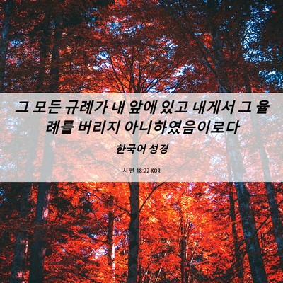 Picture 06 - 시편 18:22 KOR - 그 모든 규례가 내 앞에 있고 내게서 - Bible Verse Picture
