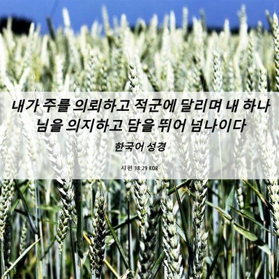 Picture 06 - 시편 18:29 KOR - 내가 주를 의뢰하고 적군에 달리며 - Bible Verse Picture