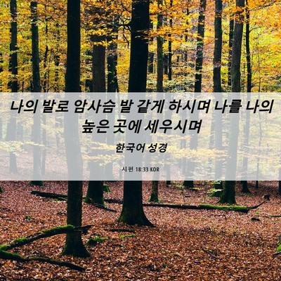 Picture 06 - 시편 18:33 KOR - 나의 발로 암사슴 발 같게 하시며 - Bible Verse Picture