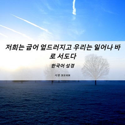 Picture 06 - 시편 20:8 KOR - 저희는 굽어 엎드러지고 우리는 - Bible Verse Picture
