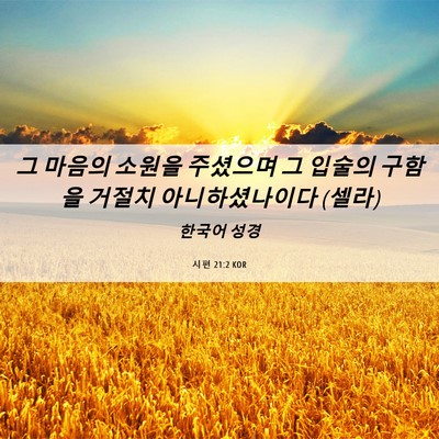 Picture 06 - 시편 21:2 KOR - 그 마음의 소원을 주셨으며 그 - Bible Verse Picture