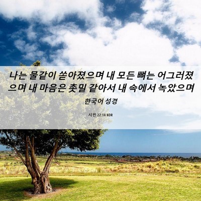 Picture 06 - 시편 22:14 KOR - 나는 물같이 쏟아졌으며 내 모든 - Bible Verse Picture