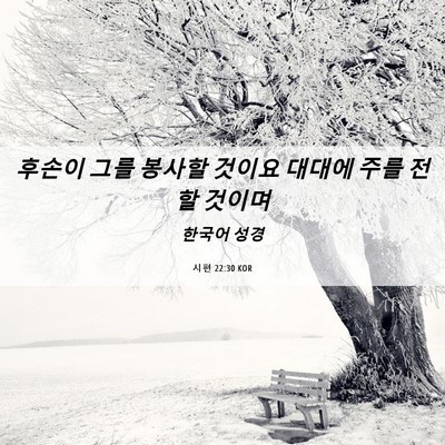 Picture 06 - 시편 22:30 KOR - 후손이 그를 봉사할 것이요 대대에 - Bible Verse Picture