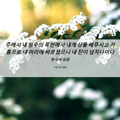 Picture 06 - 시편 23:5 KOR - 주께서 내 원수의 목전에서 내게 - Bible Verse Picture