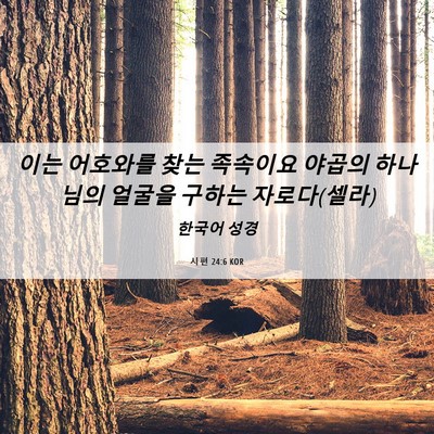 Picture 06 - 시편 24:6 KOR - 이는 어호와를 찾는 족속이요 야곱의 - Bible Verse Picture