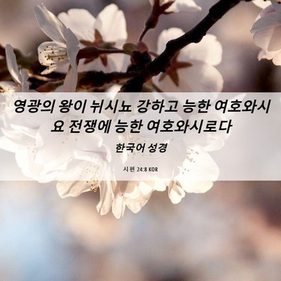 Picture 06 - 시편 24:8 KOR - 영광의 왕이 뉘시뇨 강하고 능한 - Bible Verse Picture