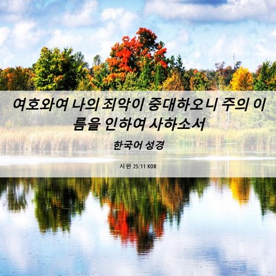 Picture 06 - 시편 25:11 KOR - 여호와여 나의 죄악이 중대하오니 - Bible Verse Picture