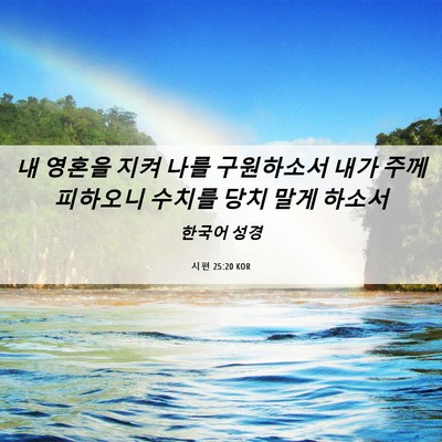 Picture 06 - 시편 25:20 KOR - 내 영혼을 지켜 나를 구원하소서 - Bible Verse Picture