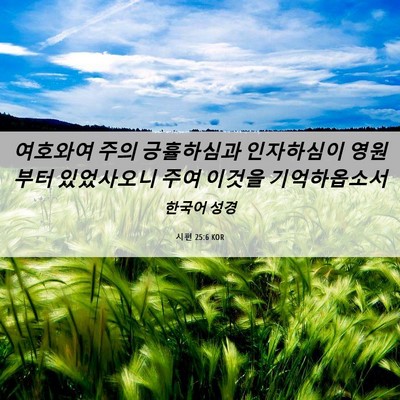 Picture 06 - 시편 25:6 KOR - 여호와여 주의 긍휼하심과 - Bible Verse Picture