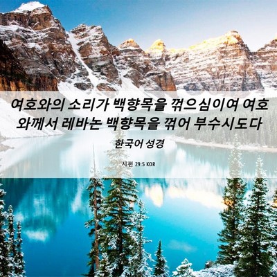 Picture 06 - 시편 29:5 KOR - 여호와의 소리가 백향목을 - Bible Verse Picture