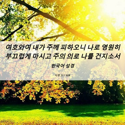 Picture 06 - 시편 31:1 KOR - 여호와여 내가 주께 피하오니 나로 - Bible Verse Picture